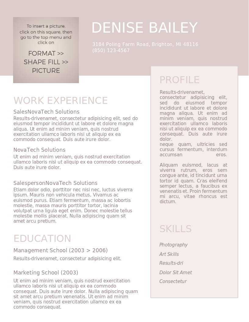 A La Mode CV preview